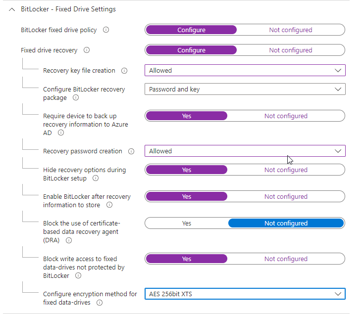 BitLocker fixed drive settings
